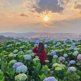[Tour trong ngày] Đà Lạt - Núi Lang Biang 1 Ngày