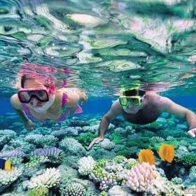 [Tour trọn gói] Ngũ Hành Sơn – Hội An – Cù Lao Chàm 2N1Đ
