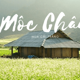 [MMO.011] Mộc Châu - Cầu Kính Bạch Long 2N1Đ