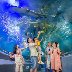 CITY TOUR THAM QUAN THÀNH PHỐ NHA TRANG 1 NGÀY