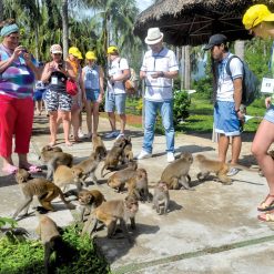 NHA TRANG - TOUR NHA PHU (  ĐẢO KHỈ + SUỐI HOA LAN) 1 NGÀY