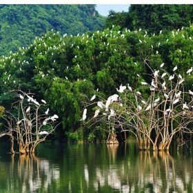 [TOUR VỀ TRONG NGÀY] CỒN CHIM ĐẦM THỊ NẠI