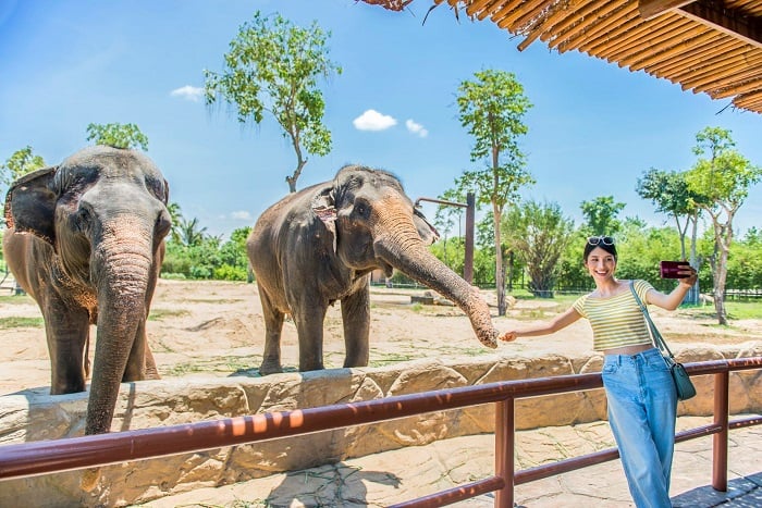 safari Hội An - Có gì chơi ở Vinwonder Hội An