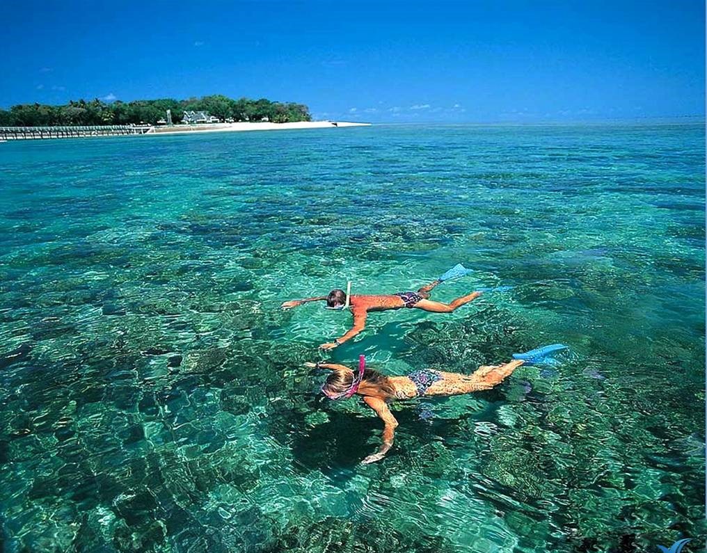 tour đi cù lao chàm từ đà nẵng
