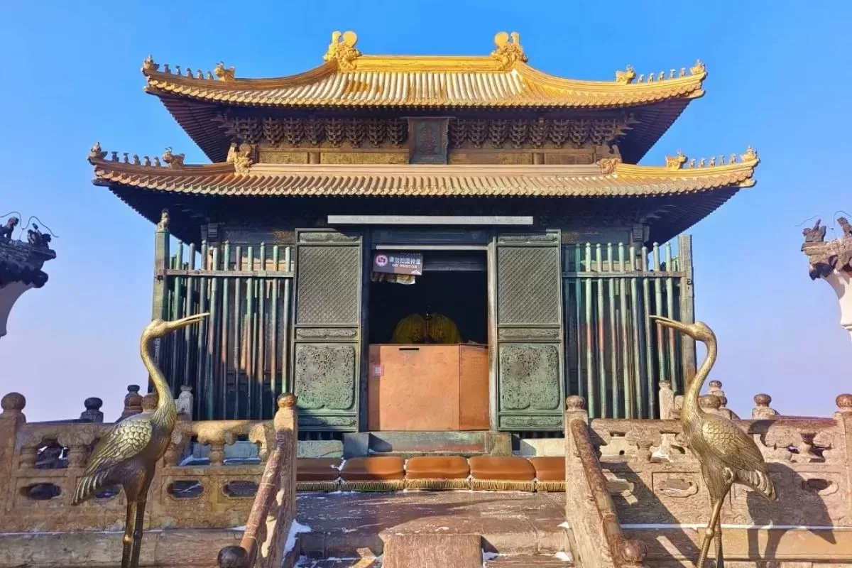 alt: Kim điện trên đỉnh Vàng