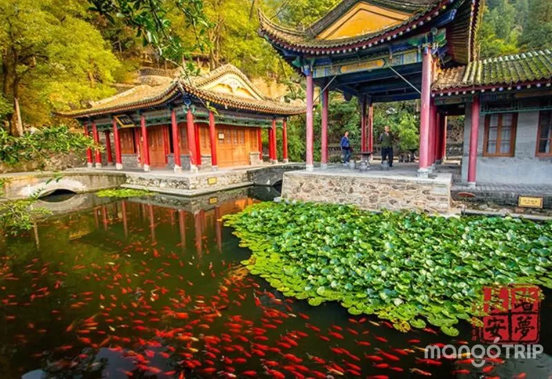 Khuôn viên thượng uyển thơ mộng trong Cung điện Hoa Thanh