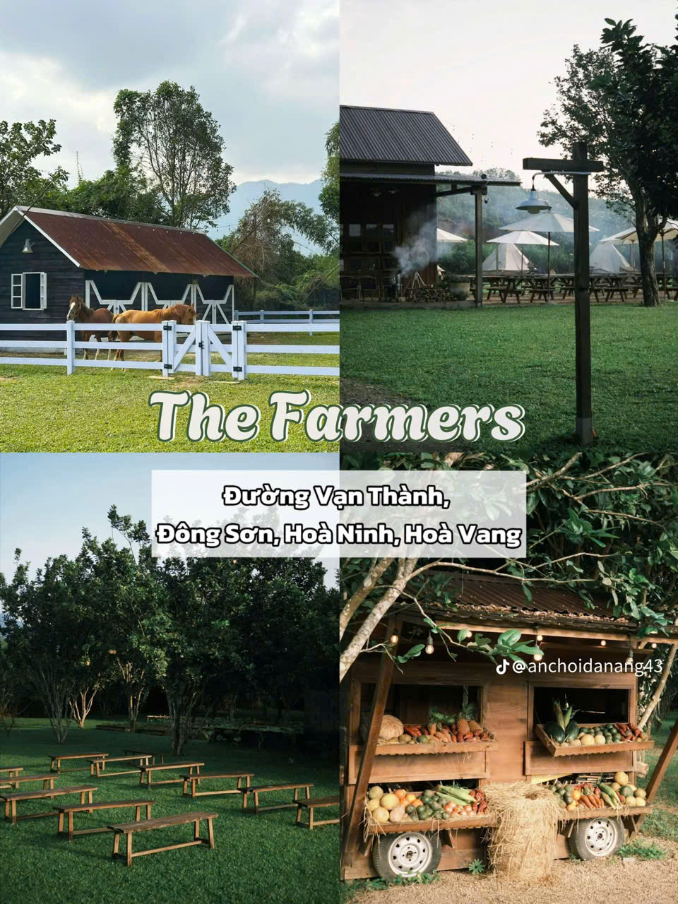 Farmers chữa lành cực chill tại Đà Nẵng
