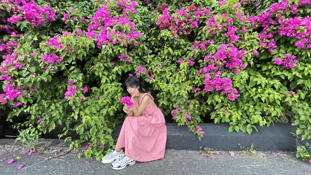 sơn trà, đà nẵng