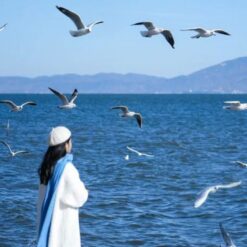 đại lý, côn minh