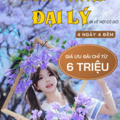 đại lý, côn minh