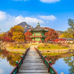 (OG) SEOUL – ĐẢO NAMI – EVERLAND – STARFILDE 05 Ngày 04 Đêm