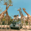 (OG) BANGKOK – PATTAYA – SAFARI WORLD 5 ngày 4 đêm
