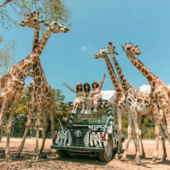 (OG) BANGKOK – PATTAYA – SAFARI WORLD 5 ngày 4 đêm