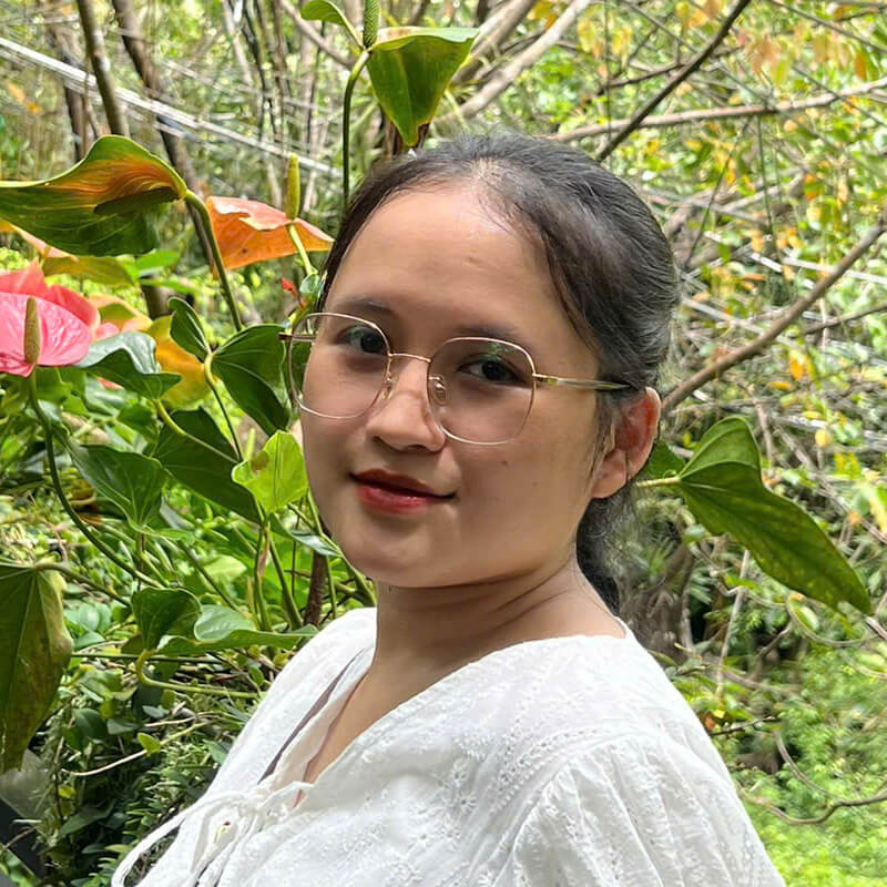 Dương Thị Thùy Linh - Tác giả bài viết