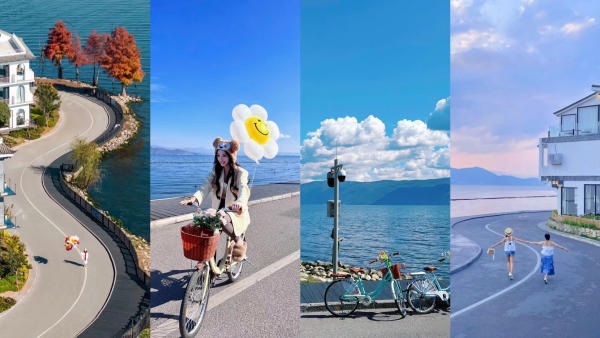 Cung đường chữ s, đại lý