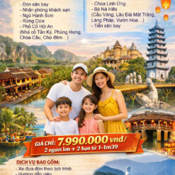 Tour riêng đà nẵng