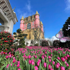 Combo vé xe khách sạn