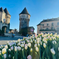 Combo vé xe khách sạn, du lịch miền trung, XE DU LỊCH 7 CHỖ TẠI ĐÀ NẴNG, tiết kiệm 2 triệu đồng khi đi Đà Nẵng