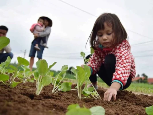 Trải nghiệm làm nông dân
