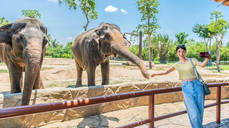 Thế giới đồng cỏ