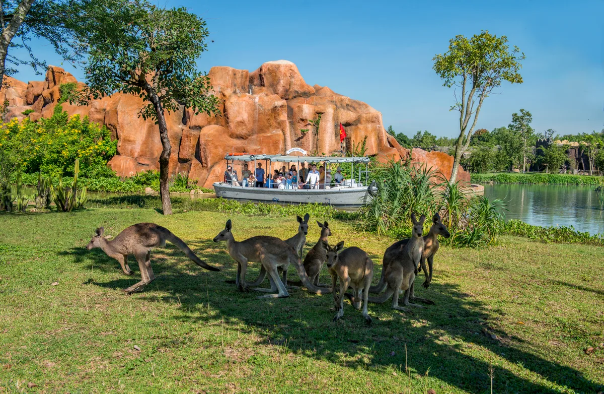 Bảng giá vé VinWonders Nam Hội An 11 tỉnh trải nghiệm River Safari du khảo sông