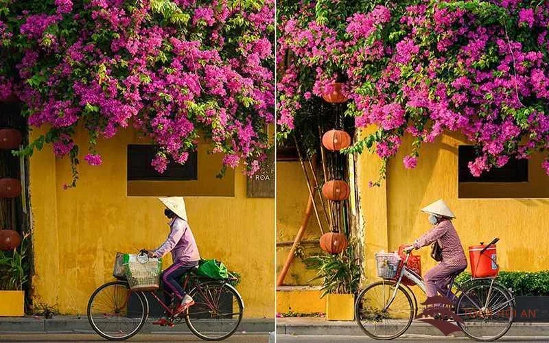 Da Nang 4 days 3 nights itinerary Hoi An Ancient Town bougainvillea corner