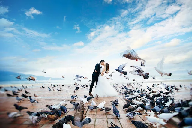 Địa điểm chụp hình sống ảo đẹp tại Đà Nẵng Công viên Biển Đông