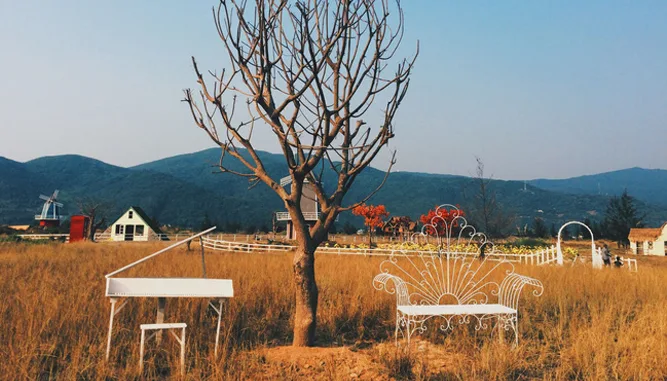 diem-chup-hinh-song-ao-dep-tai-da-nang-thuan-phuoc-field