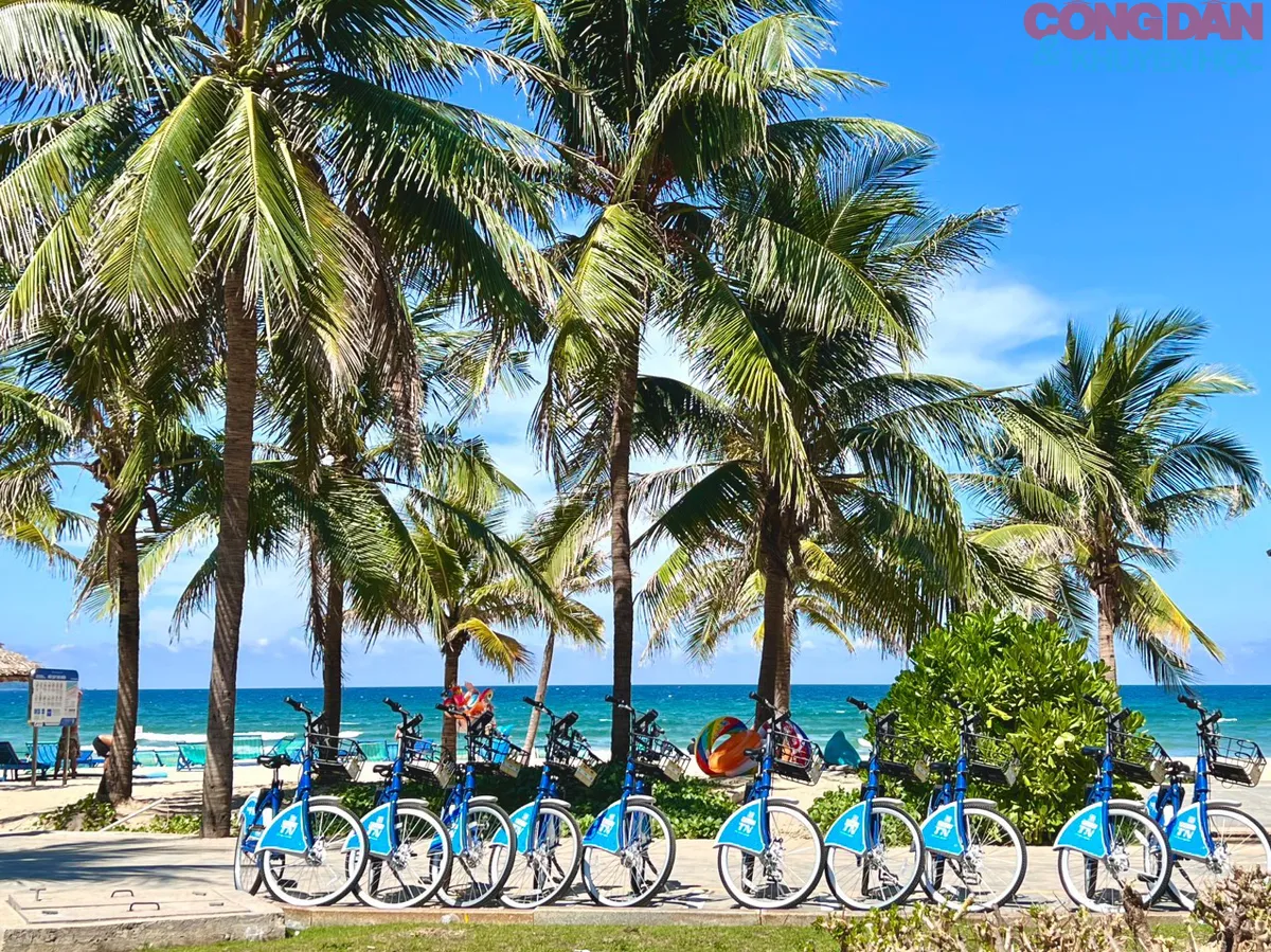 Tắm biển Mỹ Khê Đà Nẵng sóng êm đường ven biển dạo xe đạp thoáng đãng