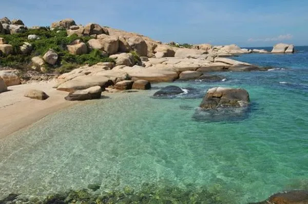 Mùa rêu xanh rạn Nam Ô vẻ đẹp thiên nhiên hoang sơ mê đắm du khách