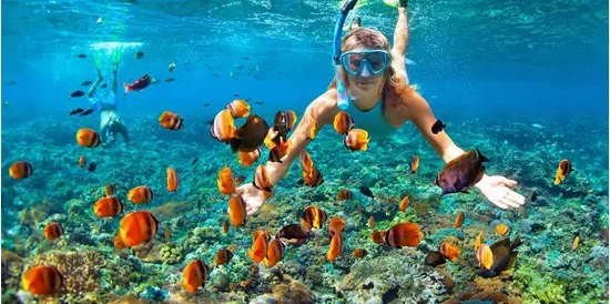 Tour Cù Lao Chàm nửa ngày lặn ngắm san hô Bãi Xếp