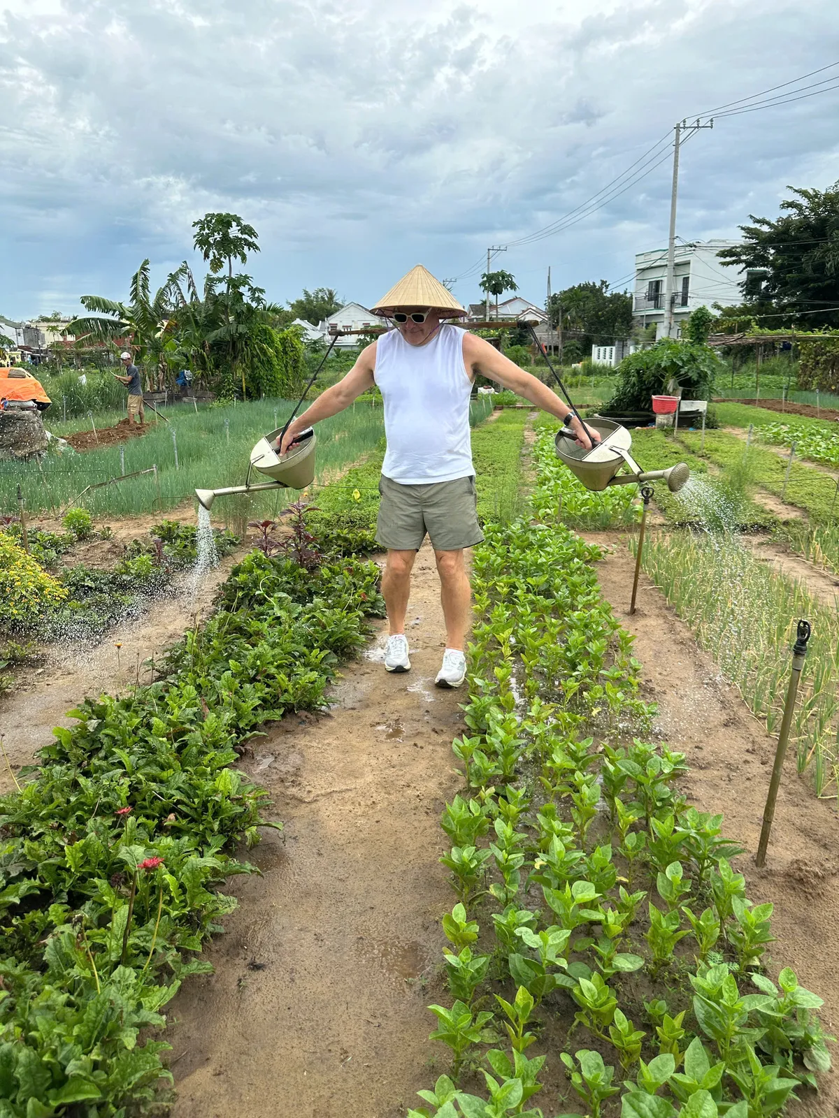 Tra Que organic vegetable garden herbs Hoi An
