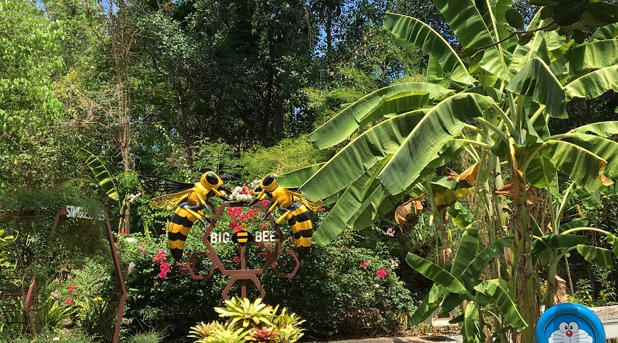 Trang trại nuôi ong Big Bee Farm Thái Lan trải nghiệm mật ong và sữa ong chúa thiên nhiên