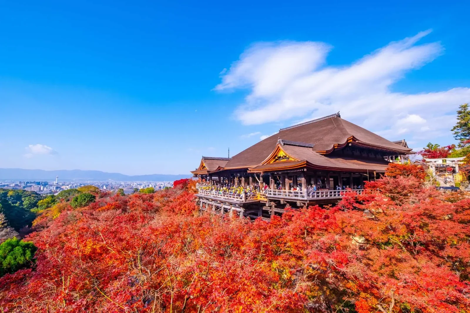 Chùa Thanh Thủy Kiyomizu-dera Kyoto kiến trúc gỗ độc đáo trên vách núi Higashiyama