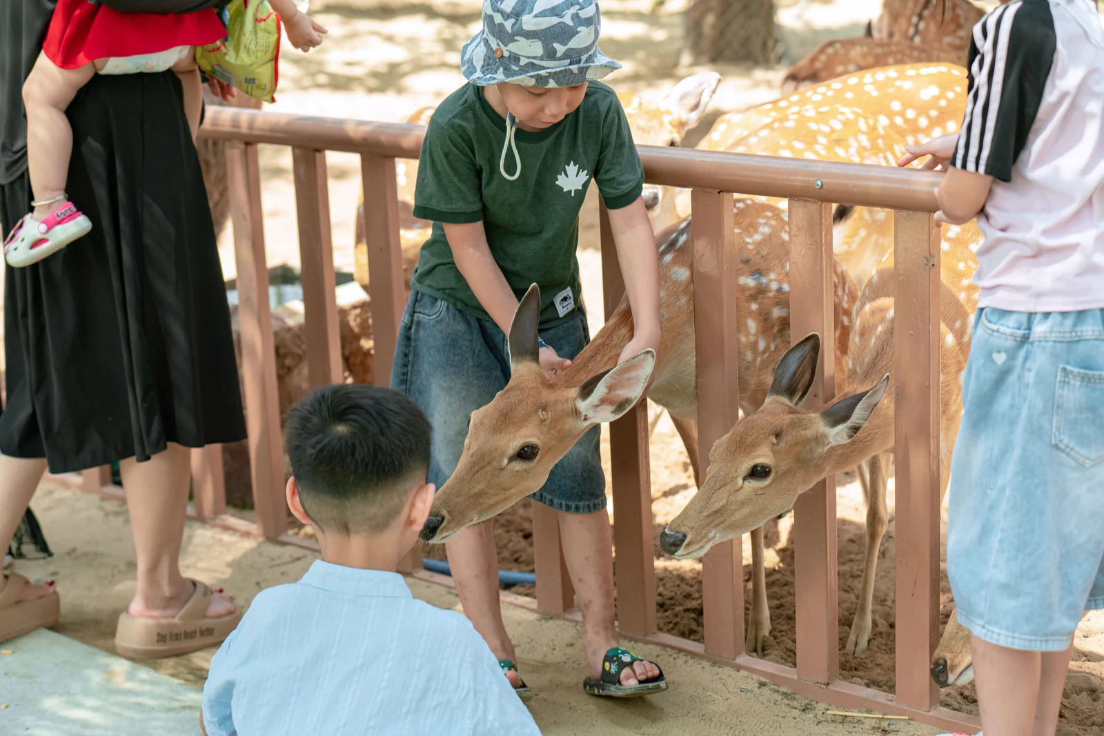 river safari wildlife cruise vinwonders nam hoi an