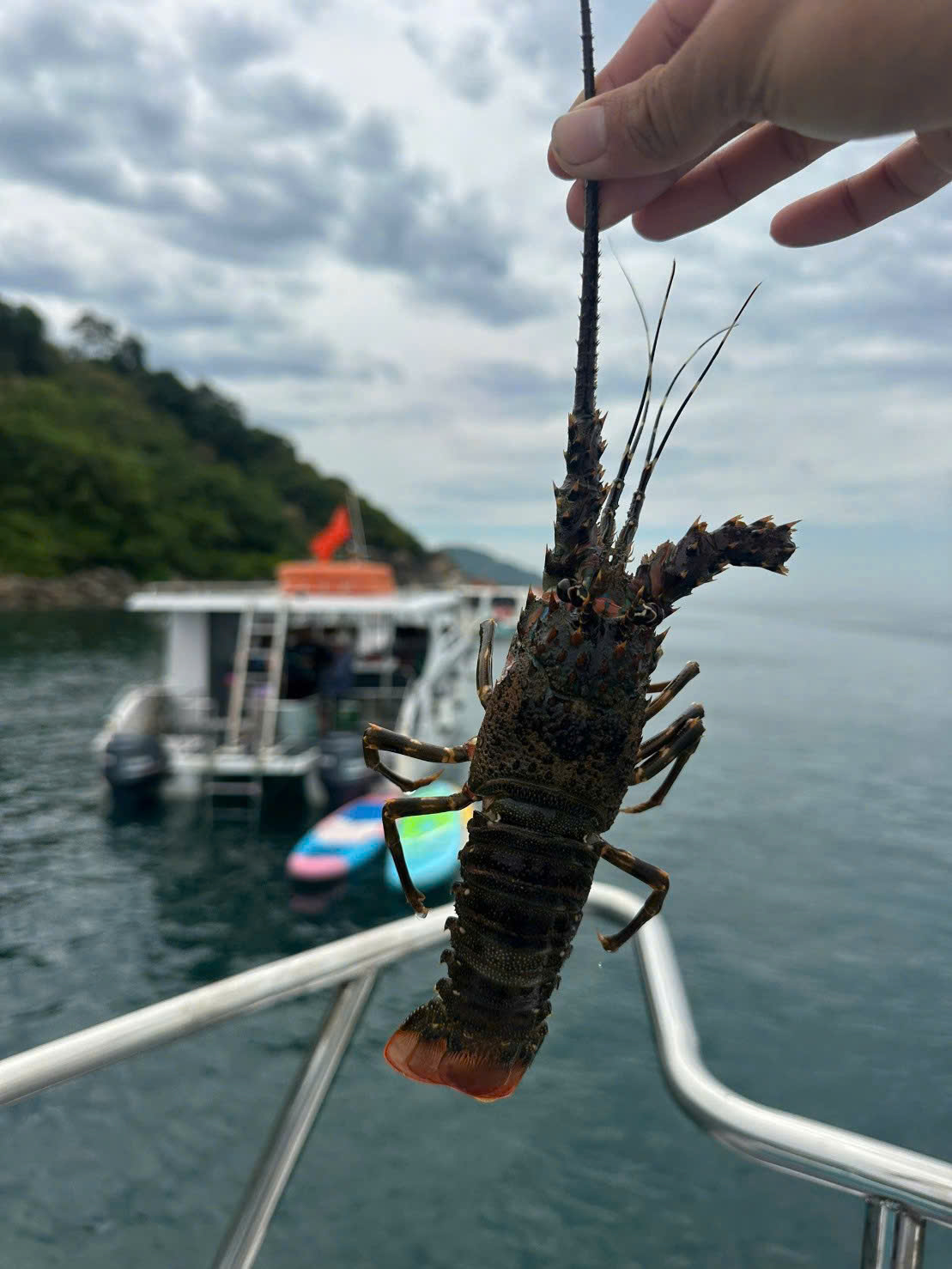Anh Thanh Tuấn đi tour Sơn Trà